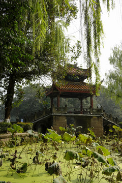 南充北湖公園