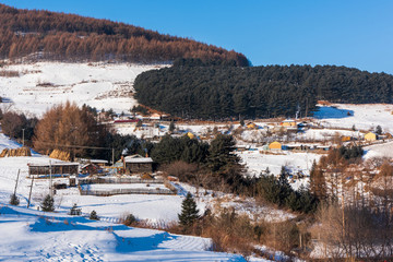 松嶺雪村