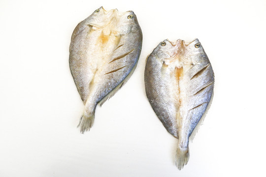 黃魚干