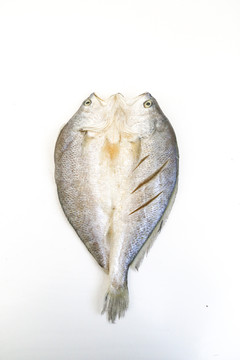 黃魚干
