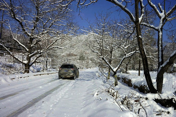 道路