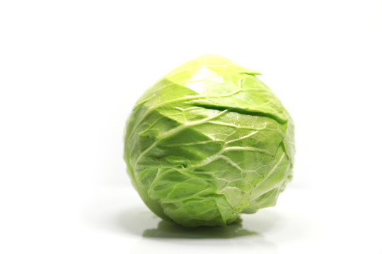包心菜