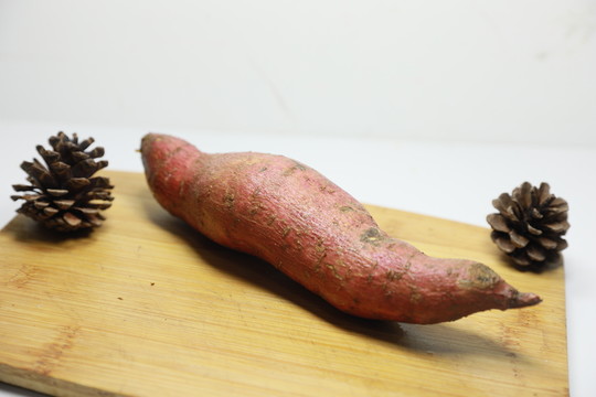 紅薯