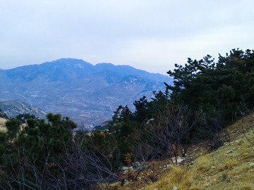 山坡山體