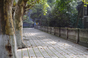 西華師大校園