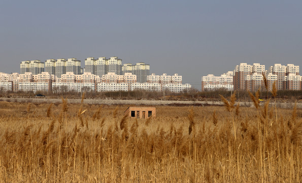 城市化