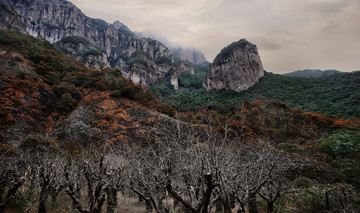 雁蕩山風(fēng)光