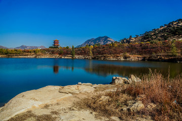 泰山西路風光