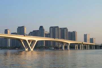 琶洲大橋
