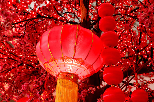 紅燈籠