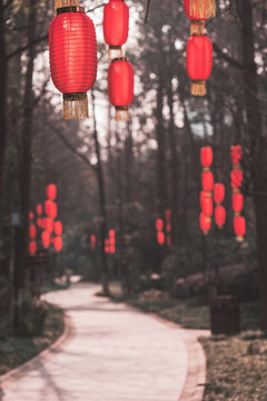 紅燈籠