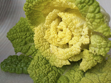 菊花心菜