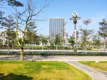 路燈馬路