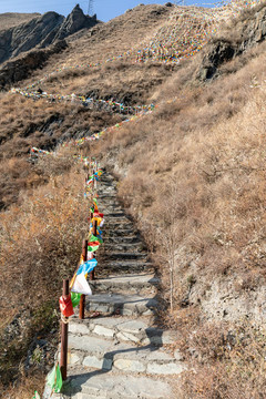 甘堡藏寨的山坡