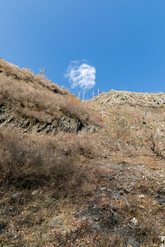 甘堡藏寨的山坡