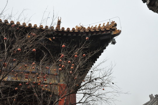 飛檐