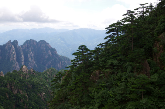 黃山小夢幻