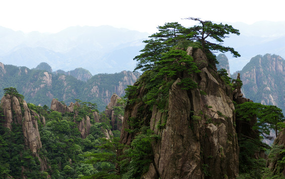 黃山小夢幻