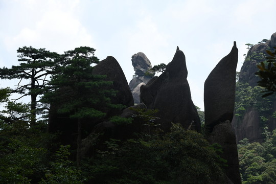 三清山企鵝獻桃