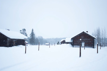 雪景