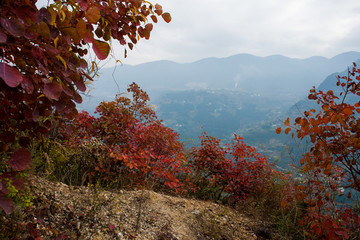 巫峽風(fēng)光巫山紅葉