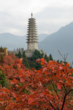 巫山紅葉巫峽鎮(zhèn)水塔