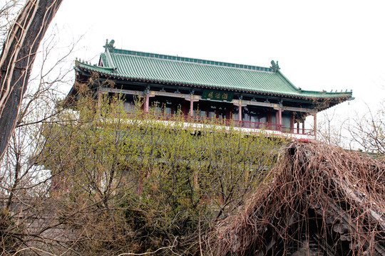 匯波樓