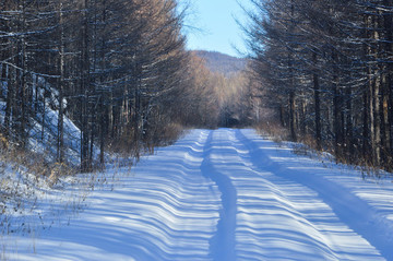 林區(qū)雪路