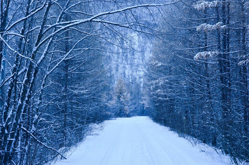 雪路