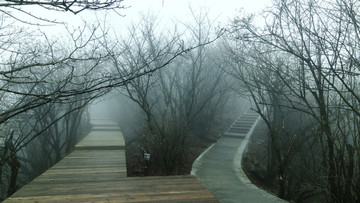 光霧山風(fēng)光