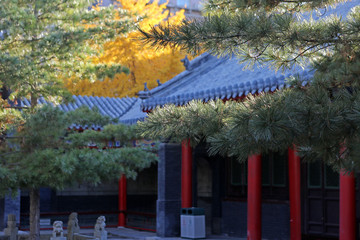 秋日長安寺