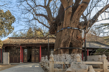青州三賢祠