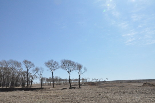 大漠荒野風景畫