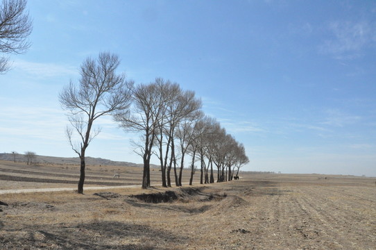 大漠荒野風景畫