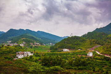 青杠坡村風(fēng)光