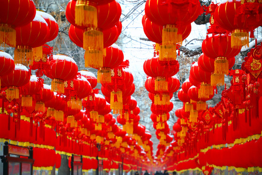 大紅燈籠高高掛