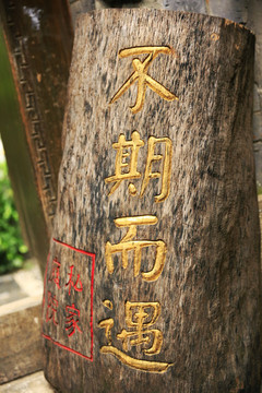 不期而遇