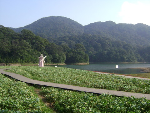 風(fēng)車