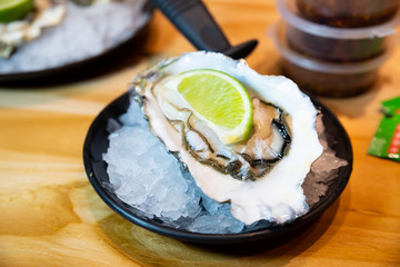 冰鎮(zhèn)生蠔