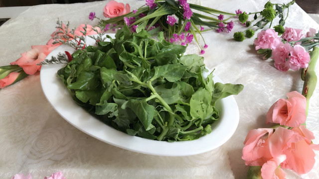 冰草