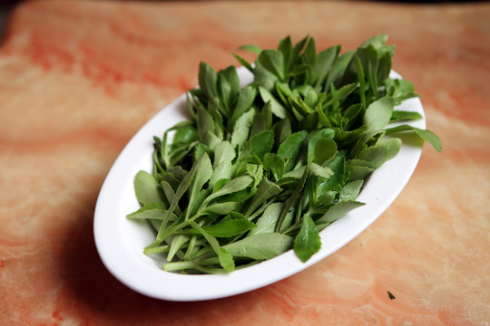 養(yǎng)心菜