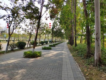 林蔭綠道