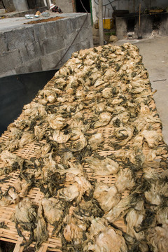 農(nóng)村鄉(xiāng)土鹽菜加工晾曬制作工序