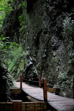 金絲峽