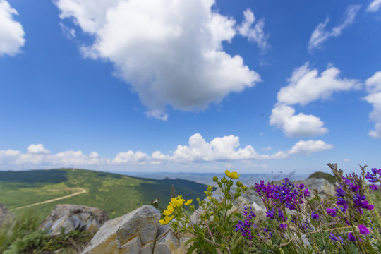 風景