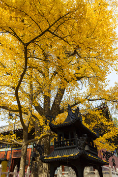 紅螺寺