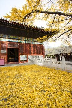 紅螺寺