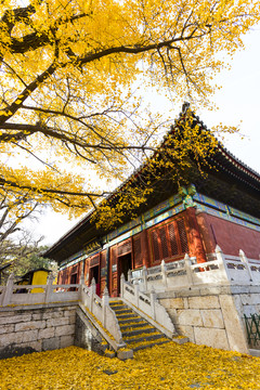 紅螺寺