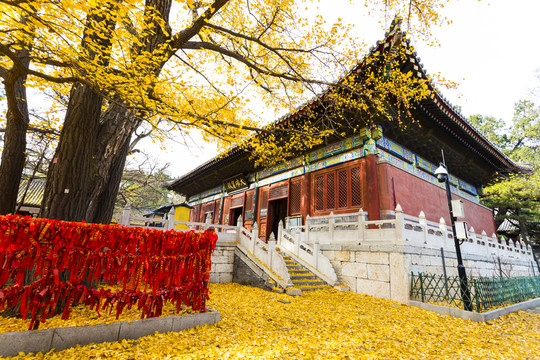 紅螺寺