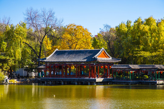 大觀園